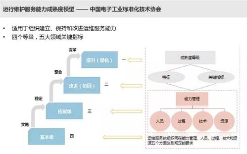 基于ITSS標(biāo)準(zhǔn)的IT運(yùn)維服務(wù)與信息系統(tǒng)集成服務(wù)能力成熟度評(píng)估模型研究