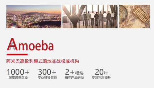 比佛利管理咨詢 推動(dòng)阿米巴模式落地,企業(yè)贏在管理