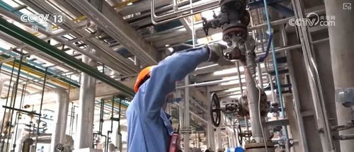 煉化工廠成鳥兒新 家 綠色工廠 盡顯工業之美